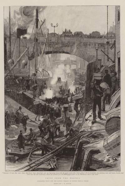 熱帯地方の果物 作： Charles William Wyllie